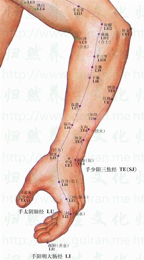 曲尺穴位置|曲池穴位置在哪？為何會痛？緩和焦慮、緩和脾熱4大。